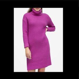 Banana republic Chunky Turtleneck Sweater Dress.